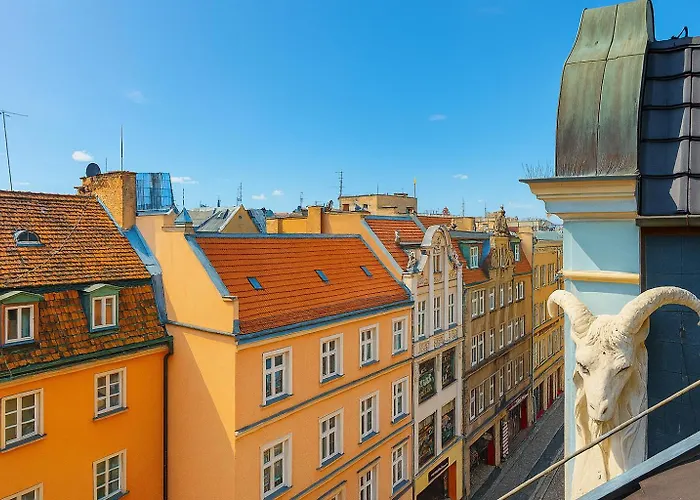 Classy Ruska - Tanie Na Rynku Wrocław